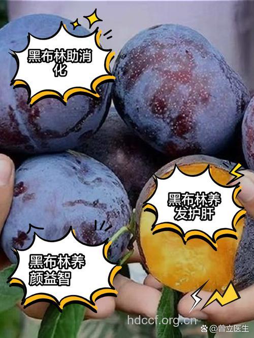 经期能吃黑布林吗 经期吃黑布林危害多