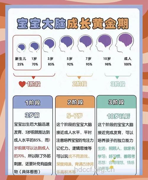 宝宝大脑发育
