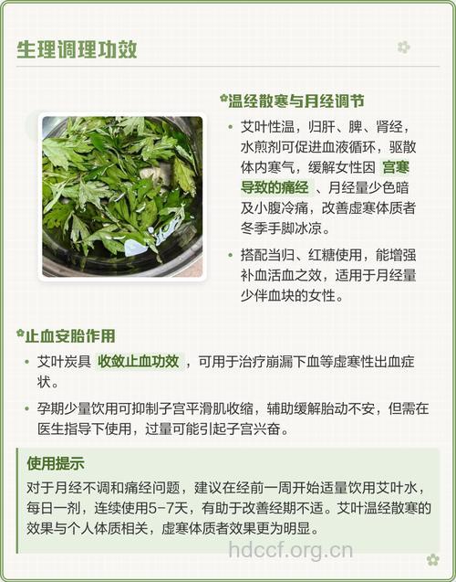 经期能喝艾叶水吗 艾叶水的做法有哪些