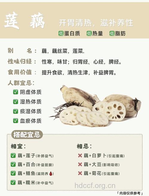 来月经可以吃莲藕吗 推荐6种营养食谱