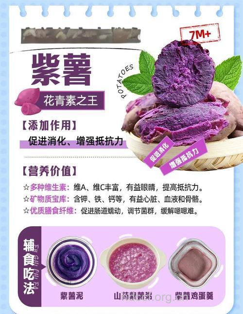 宝宝能吃紫薯吗