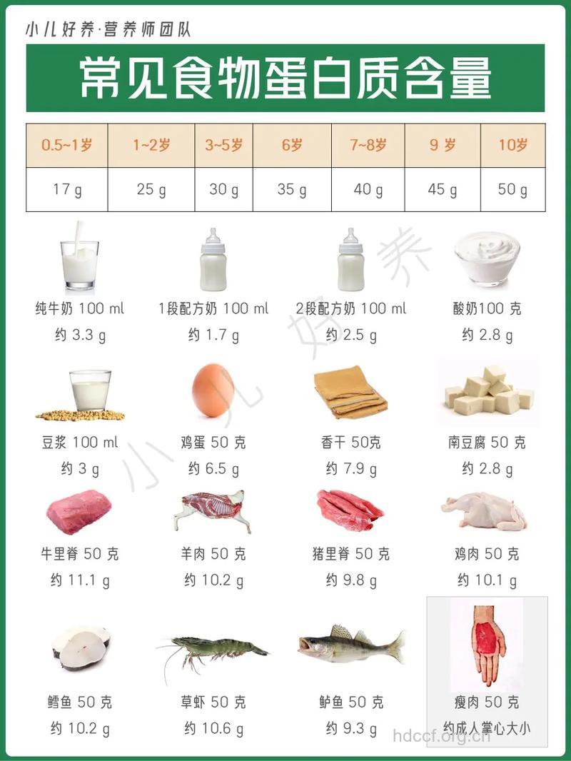 小儿补蛋白质食谱
