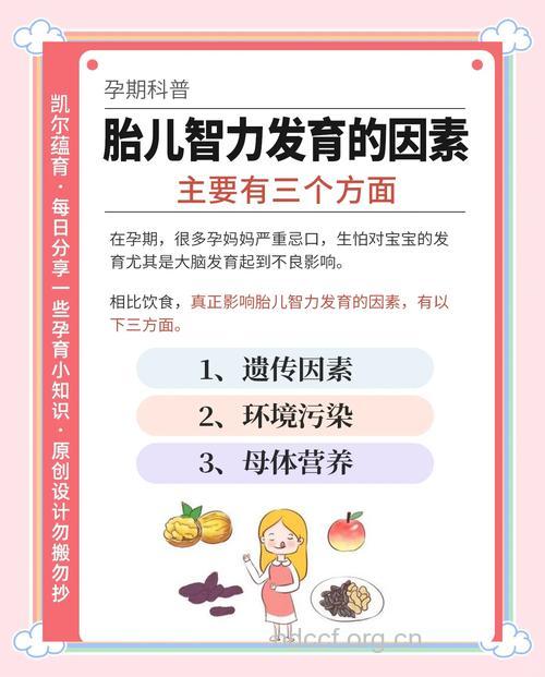 哪些因素影响宝宝的智力