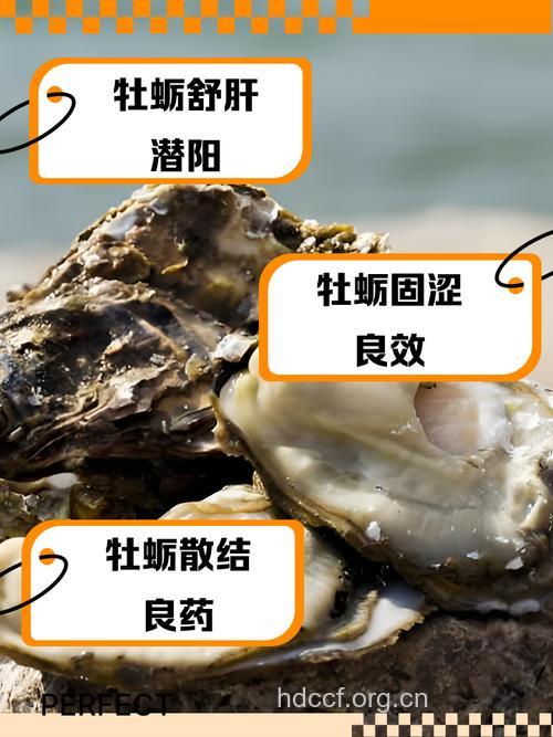 经期能吃牡蛎吗 牡蛎的功效