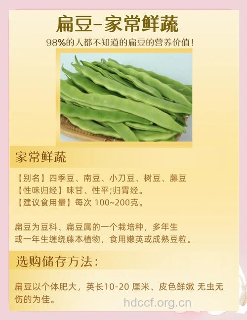 孕妇能不能吃扁豆