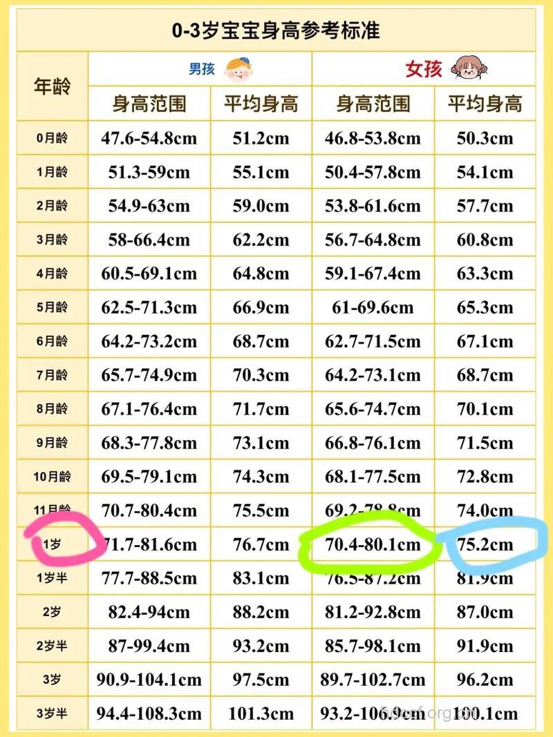 1岁3个月宝宝发育指标