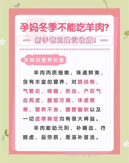 孕妇能不能吃羊肉