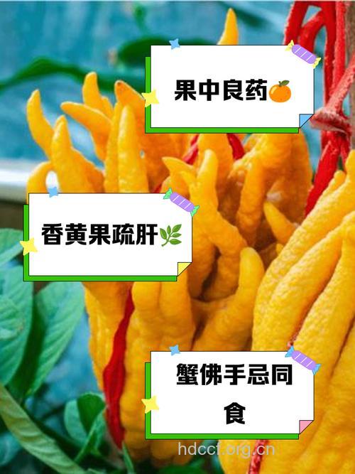 孕妇能不能吃佛手果