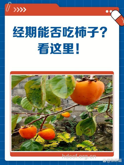 月经期间能吃柿子吗 要注意什么