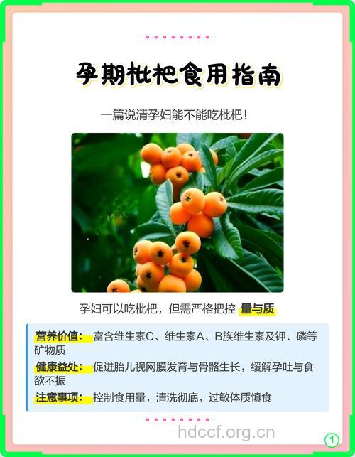 孕妇能不能吃枇杷