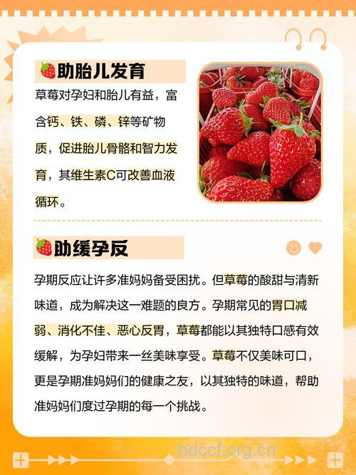 孕期孕妇能不能吃草莓