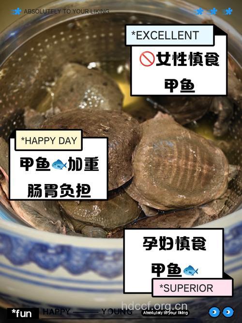 经期饮食 月经期间能吃甲鱼吗