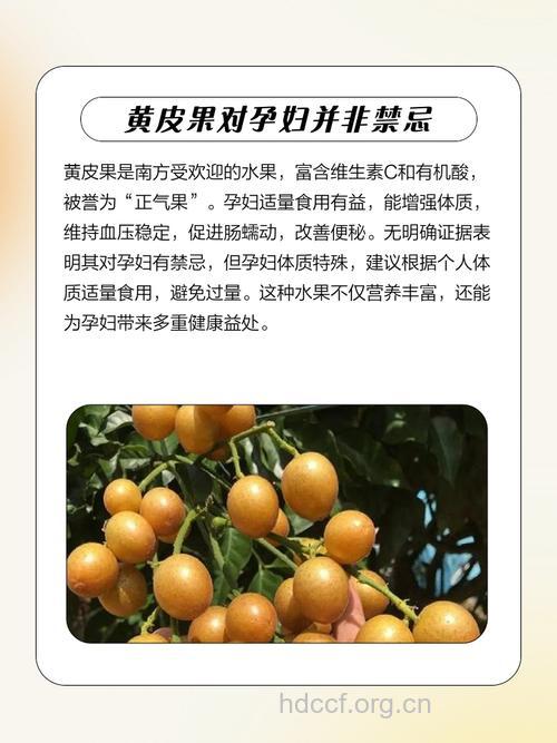 孕妇能不能吃黄皮