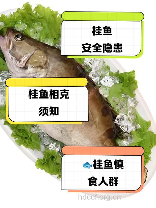 孕妇能不能吃桂鱼