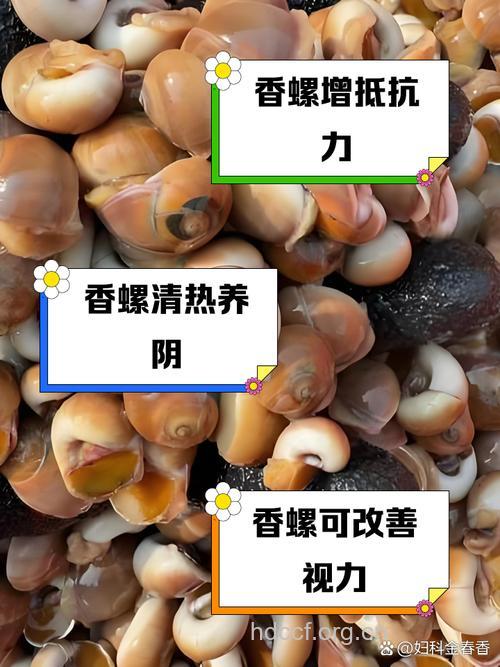 孕妇能不能吃香螺