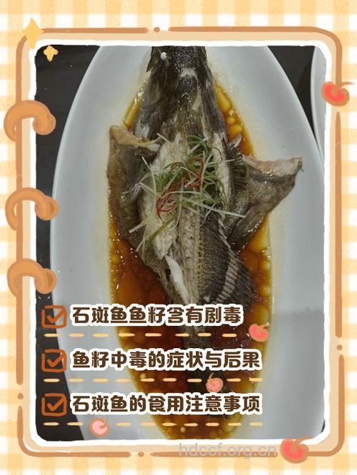 孕妇能不能吃石斑鱼