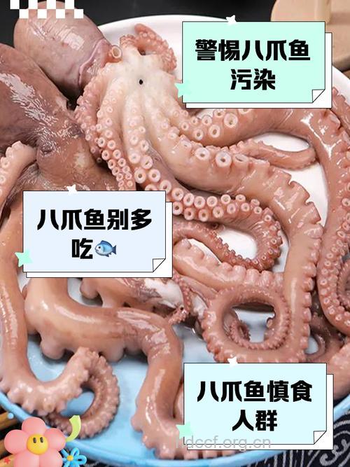 孕妇能不能吃章鱼