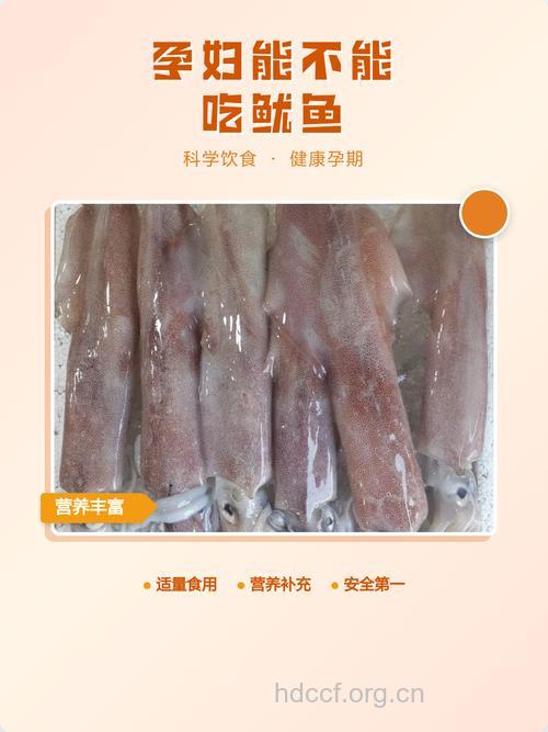 孕妇能不能吃鱿鱼