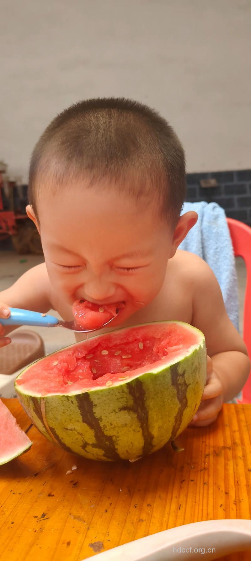 宝宝能吃香瓜吗