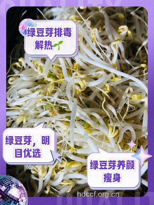 月经期间吃绿豆芽能排毒吗