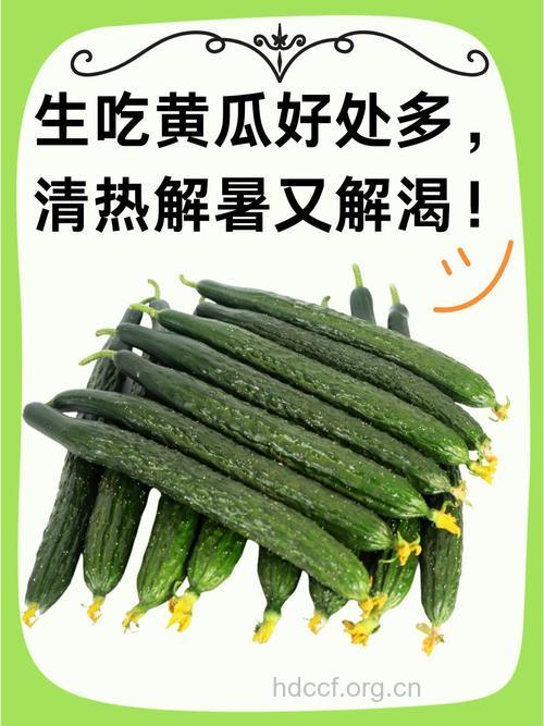 月经期间吃黄瓜能排毒吗