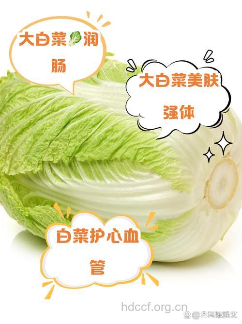 月经期间吃白菜能排毒吗