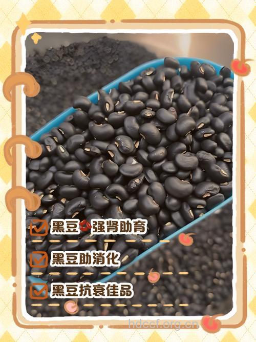 月经期间吃黑豆能排毒吗