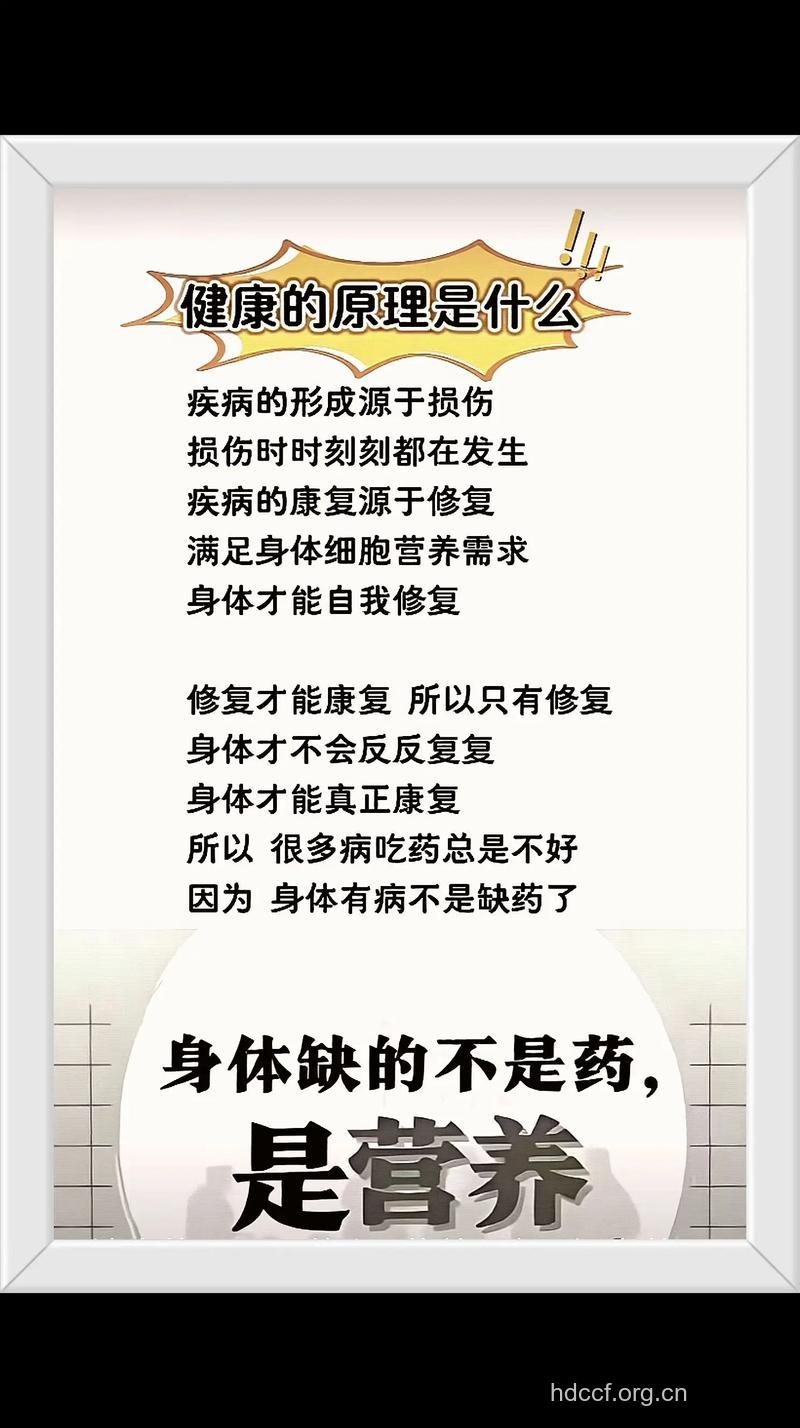 身体缺乏营养将影响健康 女人要学会补营养