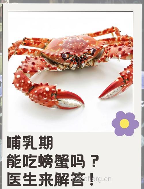 哺乳期可以吃螃蟹吗
