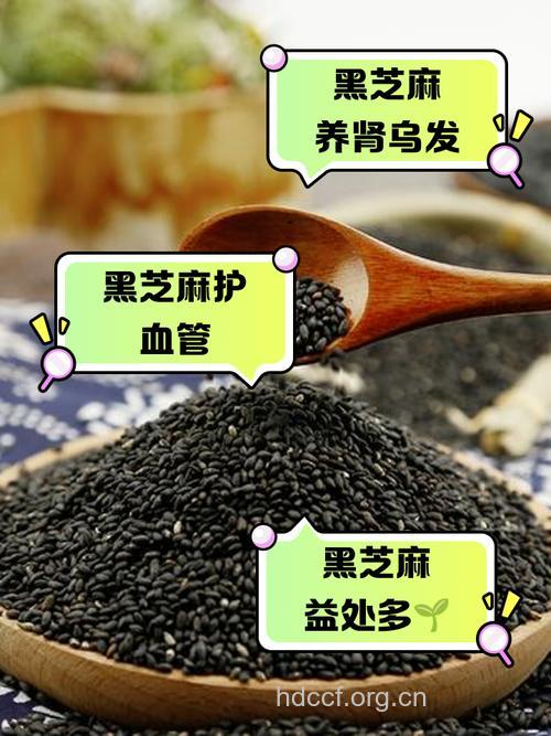 月经不调吃黑芝麻好吗 黑芝麻能补血吗