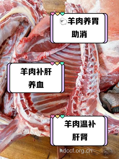 月经不调能吃羊肉吗 羊肉的功效