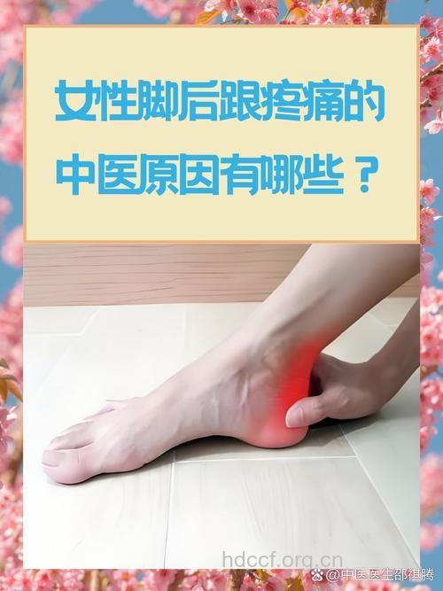 脚后跟痛是更年期提前的征兆？