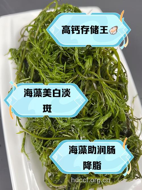 坐月子能吃海苔吗 吃海苔有什么好处