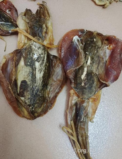 月经不调吃什么 月经不调能吃墨鱼吗