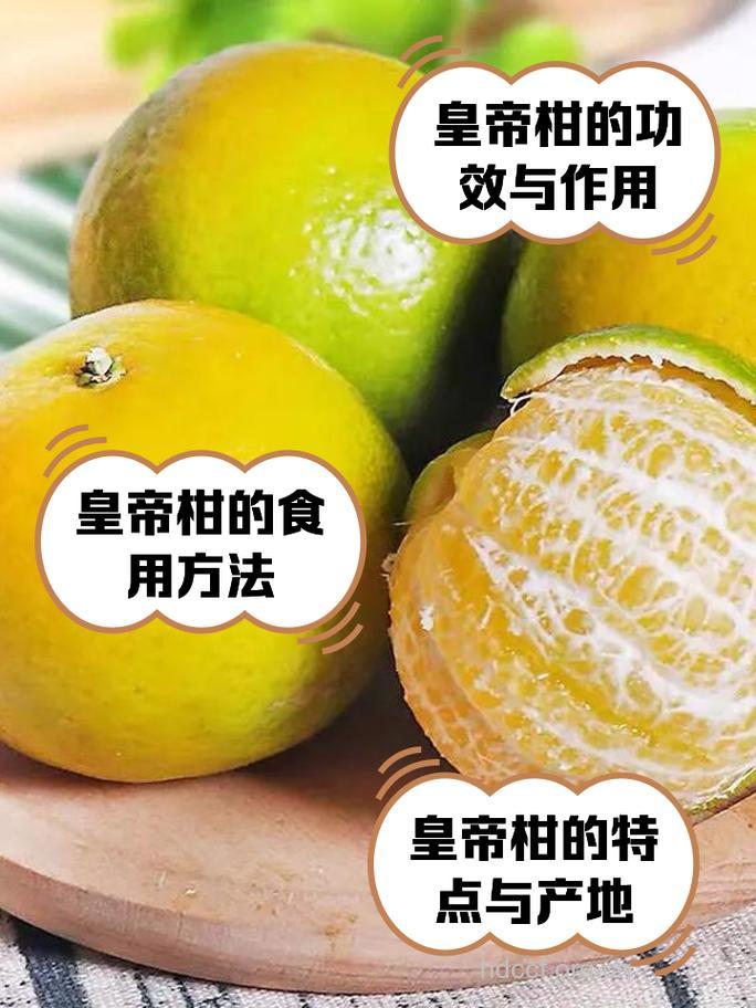 产后坐月子可以吃皇帝柑吗 每天几个合适