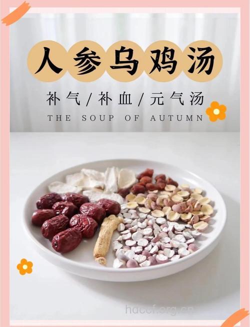 产后气虚恶露不尽喝什么汤好