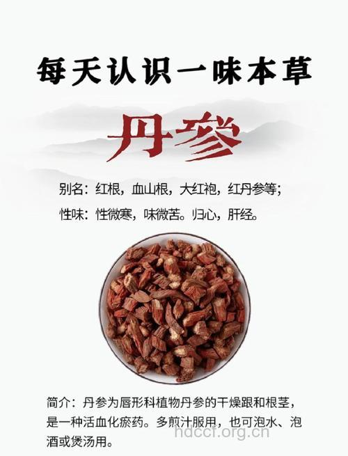 经期吃丹参好吗 吃丹参能调经吗