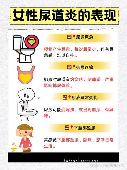 女性尿频尿急尿不尽的原因及检查方法