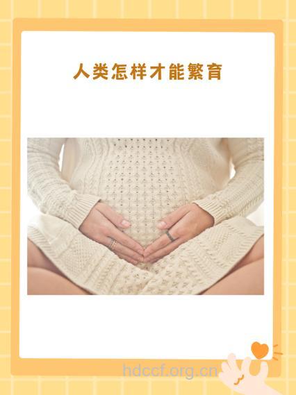 繁衍后代需要它 呵护输卵管健康等于呵护下一代