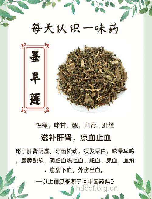 更年期女性腰膝酸软能吃墨旱莲吗