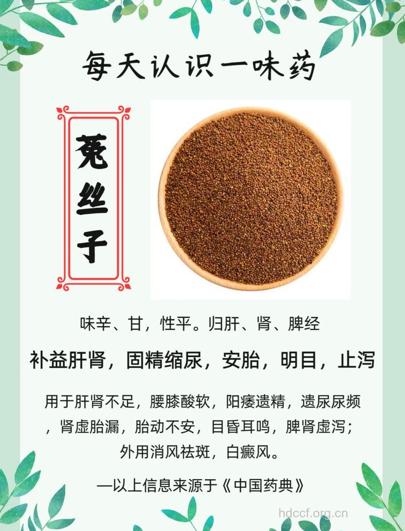 更年期女性尿频尿急能吃菟丝子吗