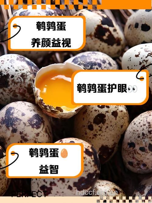 更年期女性能吃鹌鹑蛋吗 有什么好处