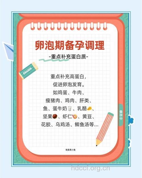 女人卵泡期吃什么对卵泡发育有好处