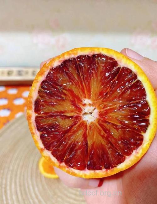 女性血淤体质病痛多 血淤体质吃什么水果好?