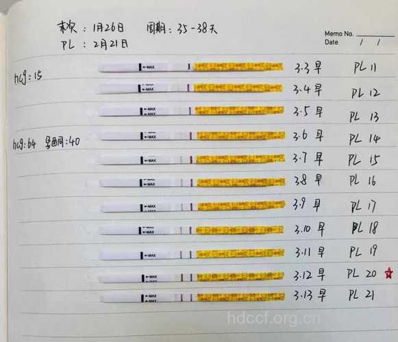刮宫后hcg多久恢复正常