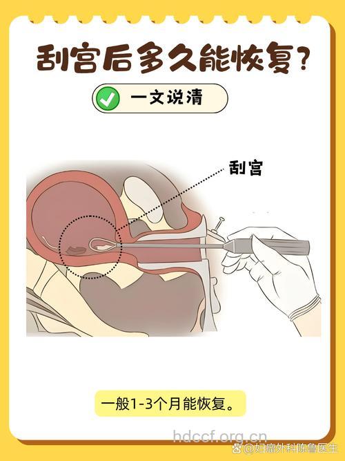 刮宫后子宫多久能恢复 如何保养子宫