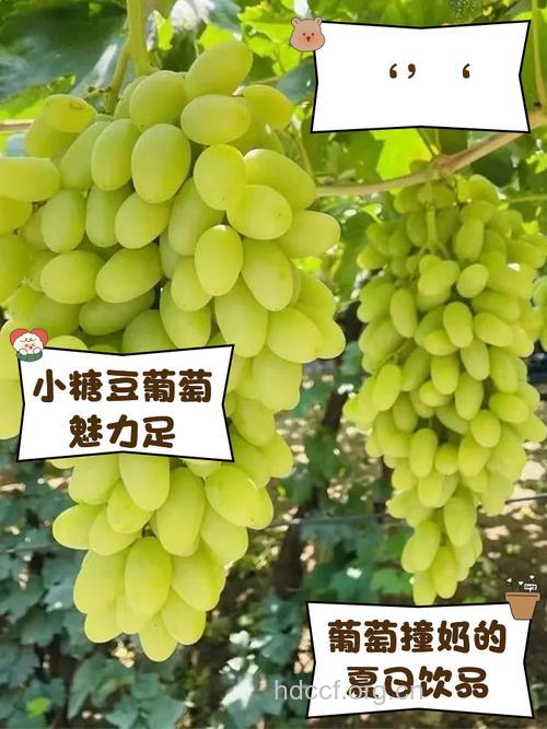 哺乳期能吃葡萄吗 哺乳期嘴馋吃什么好