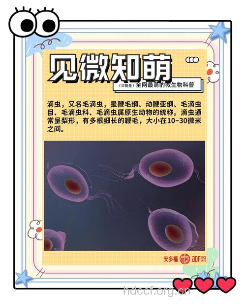 滴虫具有哪些生物学属性