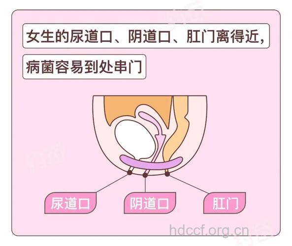 女性外阴健康有哪些自查方法
