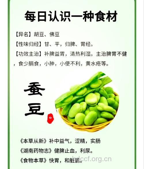生理期能吃蚕豆吗？